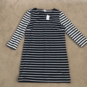 J Crew Factory navy and white shift dress sz M